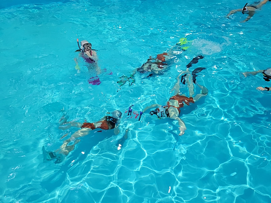 Hokej pod wodą Walenie Siemianowice Śląskie Trening 21 I 2023. Koniec Walenia czyli Amatorska Liga Hokeja Pod Wodą